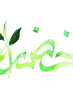 المرشد نحو (3) ثانوي أدبي شرح وتدريبات 2026